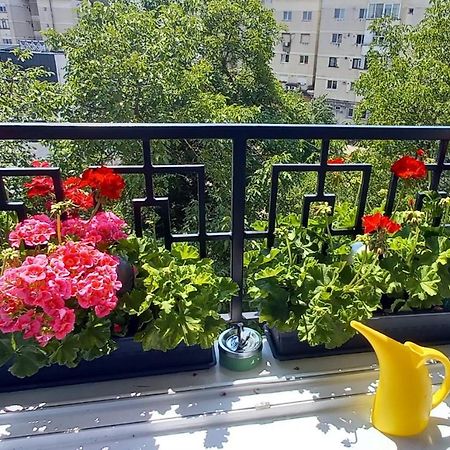 באיה מארה 33 Coquette Apartment מראה חיצוני תמונה