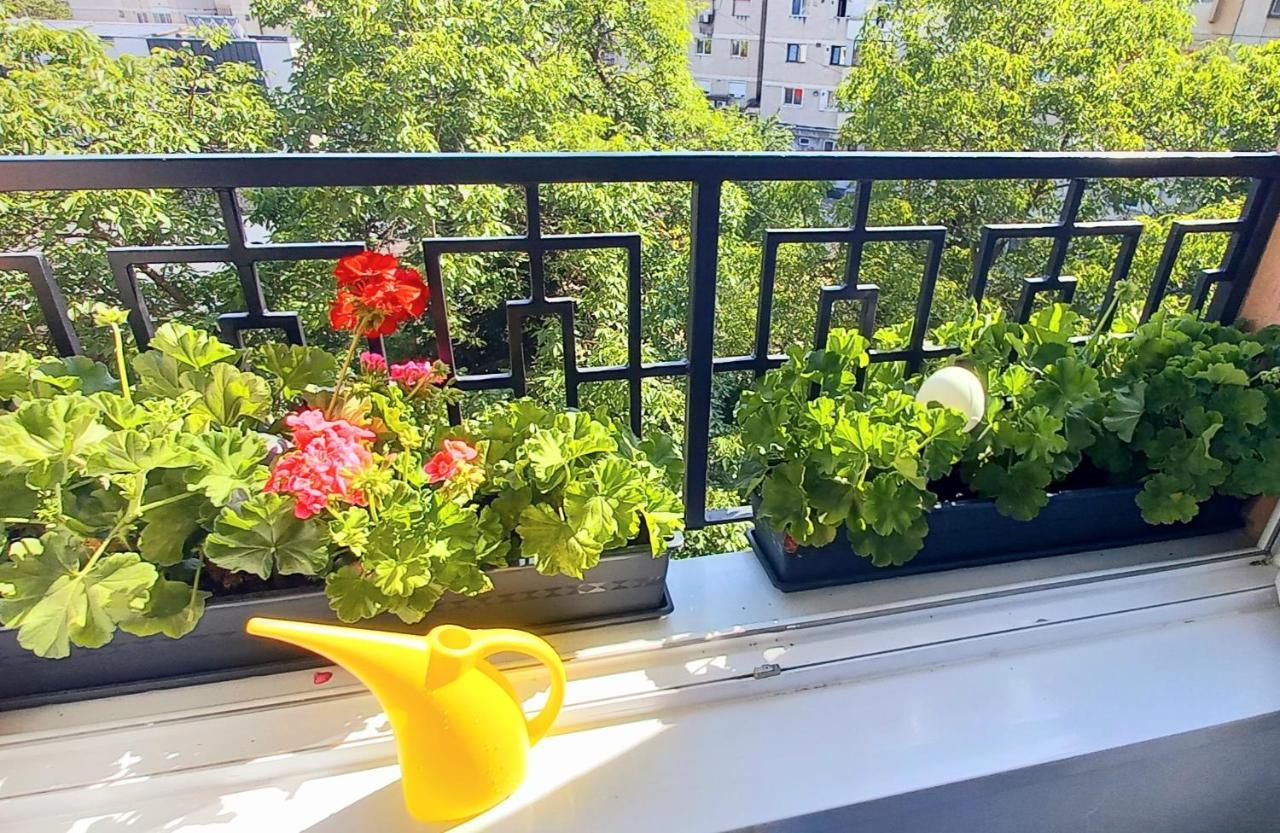 באיה מארה 33 Coquette Apartment מראה חיצוני תמונה