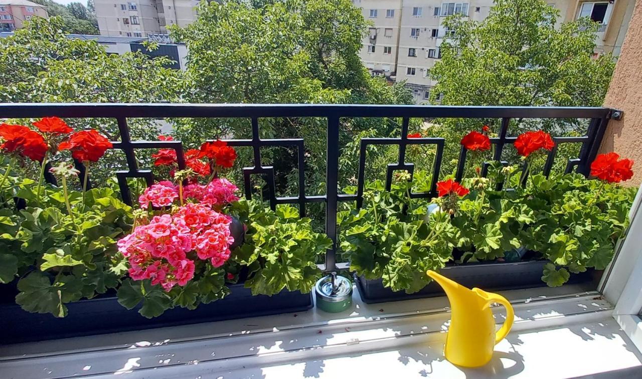 באיה מארה 33 Coquette Apartment מראה חיצוני תמונה